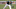 Oakland Athletics