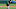 Oakland Athletics Oakland Athletics
