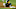 Oakland Athletics Oakland Athletics