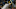 Oakland Athletics Oakland Athletics