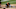 (Photo by Michael Zagaris/Oakland Athletics/Getty Images) (Photo by Michael Zagaris/Oakland Athletics/Getty Images)