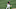 (Photo by Rob Leiter/MLB Photos via Getty Images) (Photo by Rob Leiter/MLB Photos via Getty Images)