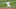 (Photo by Michael Zagaris/Oakland Athletics/Getty Images) (Photo by Michael Zagaris/Oakland Athletics/Getty Images)