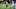 Dec 4, 2016; New Orleans, LA, USA; Detroit Lions strong safety Tavon Wilson (32) intercepts a pass in front of New Orleans Saints wide receiver Willie Snead (83) during the second half of a game at the Mercedes-Benz Superdome. The Lions defeated the Saints 28-13. Mandatory Credit: Derick E. Hingle-USA TODAY Sports Dec 4, 2016; New Orleans, LA, USA; Detroit Lions strong safety Tavon Wilson (32) intercepts a pass in front of New Orleans Saints wide receiver Willie Snead (83) during the second half of a game at the Mercedes-Benz Superdome. The Lions defeated the Saints 28-13. Mandatory Credit: Derick E. Hingle-USA TODAY Sports
