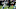 Teddy Bridgewater Teddy Bridgewater