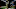 Teddy Bridgewater Teddy Bridgewater