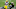 Saints New Orleans Saints Saints New Orleans Saints