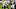 New Orleans Saints New Orleans Saints
