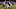 New Orleans Saints New Orleans Saints