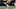 New Orleans Saints New Orleans Saints
