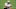 Tight end Adam Trautman #82 of the New Orleans Saints (Photo by Christian Petersen/Getty Images) Tight end Adam Trautman #82 of the New Orleans Saints (Photo by Christian Petersen/Getty Images)