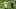 New Orleans Saints New Orleans Saints
