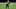 Kaden Elliss, New Orleans Saints (Photo by Jonathan Bachman/Getty Images) Kaden Elliss, New Orleans Saints (Photo by Jonathan Bachman/Getty Images)