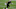 Tre’Quan Smith, New Orleans Saints (Photo by Jonathan Bachman/Getty Images) Tre’Quan Smith, New Orleans Saints (Photo by Jonathan Bachman/Getty Images)