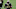 New Orleans Saints New Orleans Saints