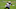 New Orleans Saints New Orleans Saints
