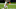 New Orleans Saints New Orleans Saints