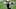 New Orleans Saints New Orleans Saints