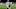 Marquez Callaway, New Orleans Saints (Photo by Chris Graythen/Getty Images) Marquez Callaway, New Orleans Saints (Photo by Chris Graythen/Getty Images)