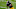 New Orleans Saints New Orleans Saints