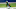 New Orleans Saints New Orleans Saints