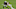 Janoris Jenkins, New Orleans Saints. Janoris Jenkins, New Orleans Saints.