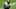 New Orleans Saints New Orleans Saints