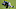 New Orleans Saints New Orleans Saints