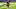 New Orleans Saints New Orleans Saints