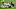 New Orleans Saints New Orleans Saints
