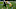 New Orleans Saints New Orleans Saints
