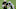 New Orleans Saints New Orleans Saints