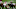 New Orleans Saints New Orleans Saints