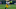 New Orleans Saints New Orleans Saints