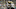 Demario Davis, New Orleans Saints Demario Davis, New Orleans Saints