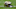 New Orleans Saints New Orleans Saints