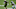 Alvin Kamara, New Orleans Saints Alvin Kamara, New Orleans Saints