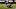 New Orleans Saints New Orleans Saints