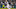 New Orleans Saints New Orleans Saints