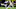 New Orleans Saints New Orleans Saints