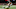 New Orleans Saints New Orleans Saints