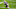 New Orleans Saints New Orleans Saints