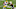 New Orleans Saints New Orleans Saints