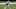 New Orleans Saints, Zack Baun New Orleans Saints, Zack Baun