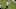 Saints Deonte Harris Saints Deonte Harris
