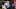 New Orleans Saints New Orleans Saints