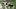 New Orleans Saints New Orleans Saints