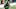 New Orleans Saints, Jamison Crowder New Orleans Saints, Jamison Crowder