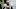 New Orleans Saints New Orleans Saints