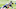 New Orleans Saints New Orleans Saints